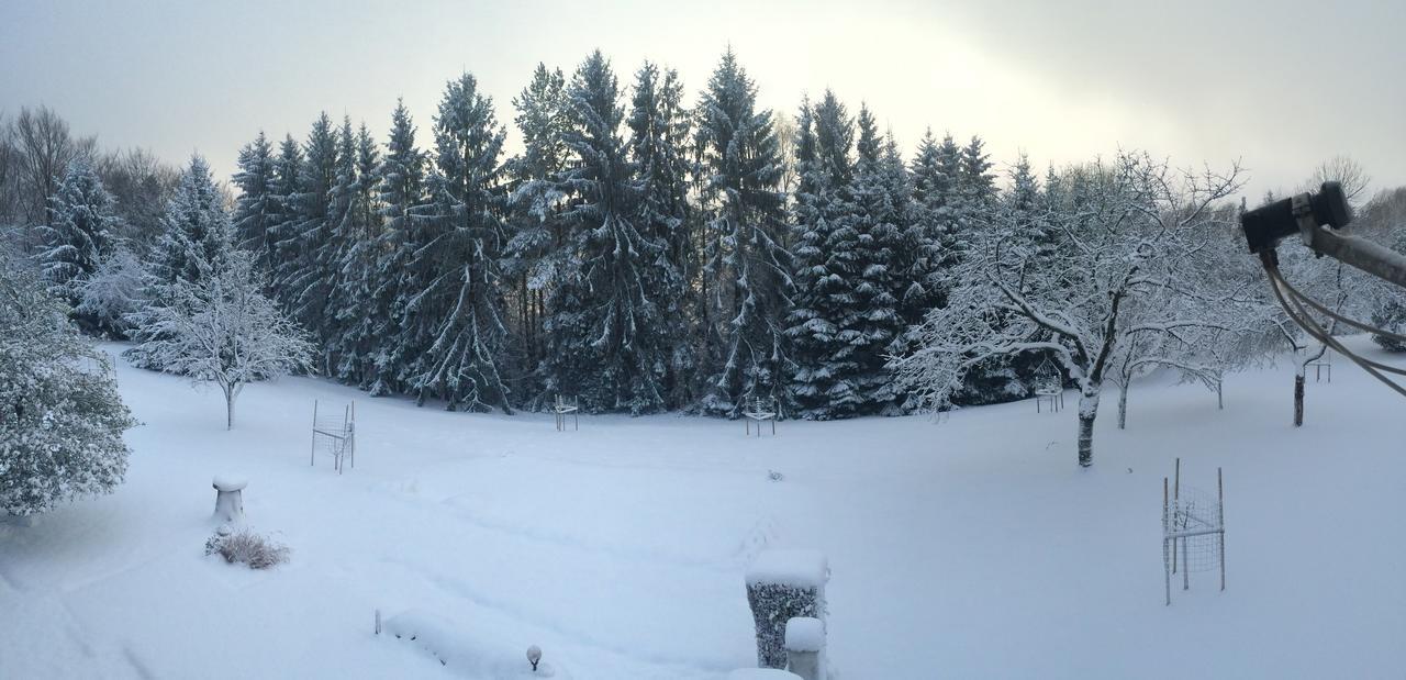 Gite Et Chambre D'Hotes La Petite Source Dabo Exterior foto